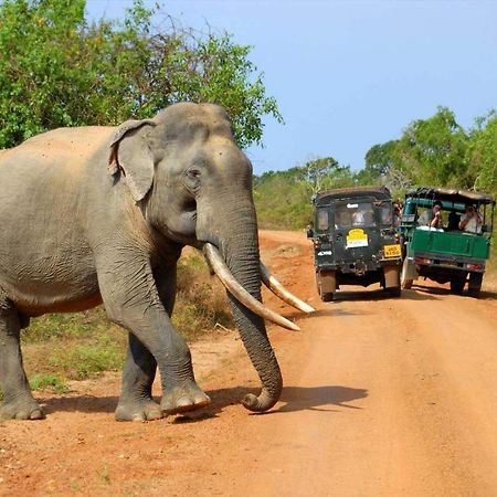 Leesa Villa Safari Resort Удавалаве Екстер'єр фото