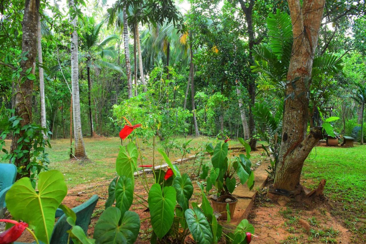 Leesa Villa Safari Resort Удавалаве Екстер'єр фото